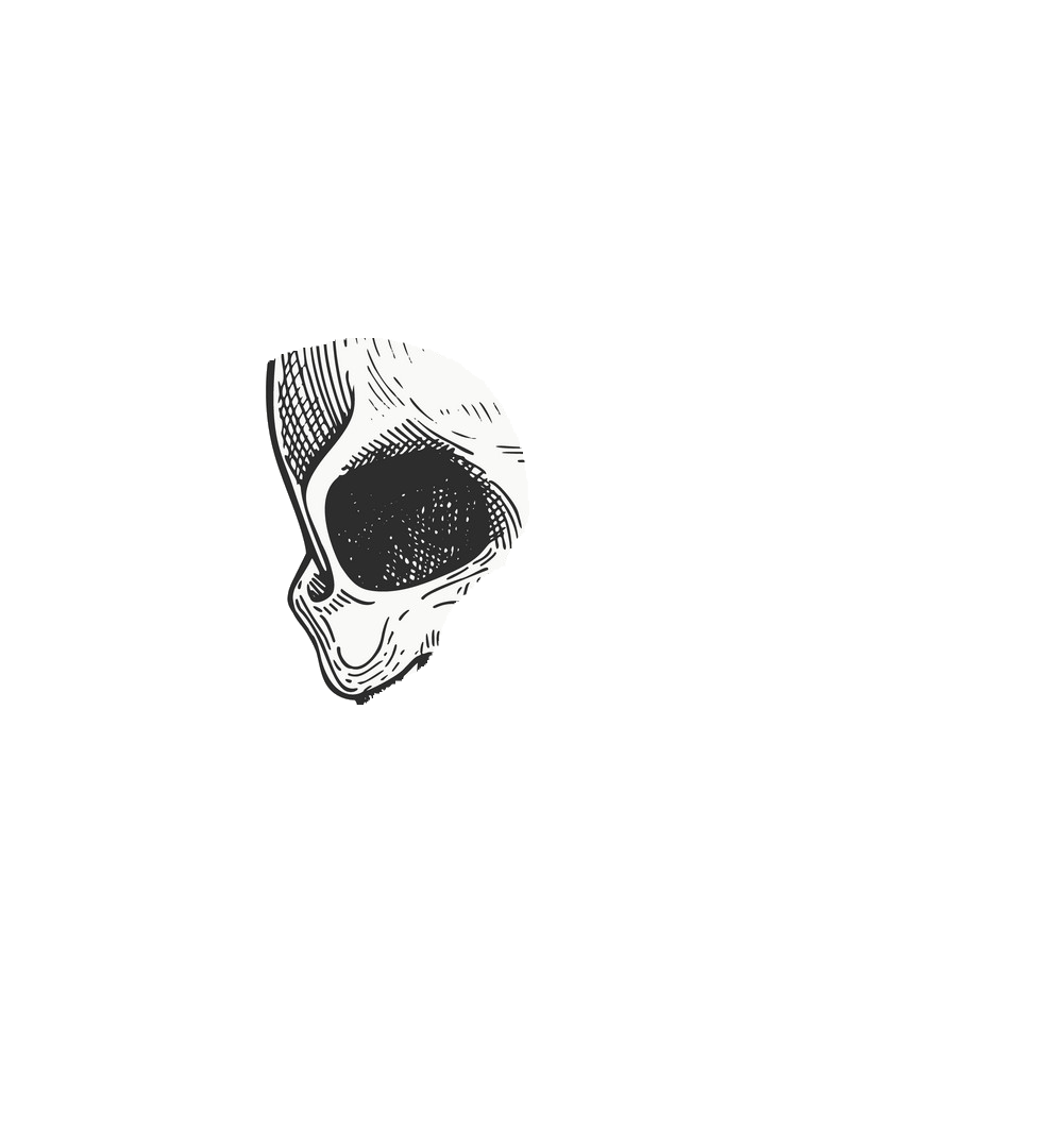skull