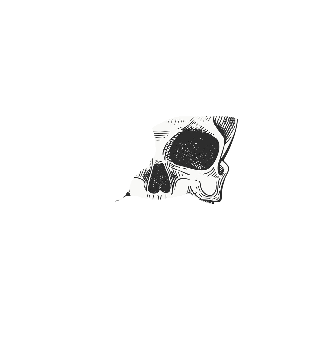 skull